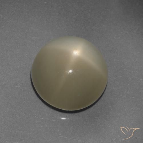 9.72ct طبيعي بنى الفهوة فاتح ستار مونستون, دائري, نصف شفاف, Photo A