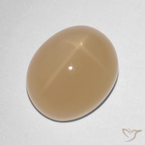 7.88ct طبيعي برتقالى كنتالوبى ستار مونستون, بيضوي, نصف شفاف