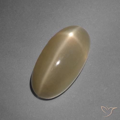 7.96ct طبيعي برتقالى داكن-متوسط ستار مونستون, بيضوي, نصف شفاف, Photo A