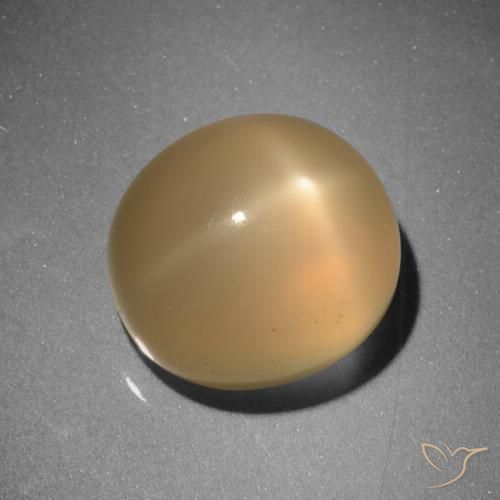 6.73ct طبيعي برتقالى متوسط ستار مونستون, بيضوي, نصف شفاف, Photo A