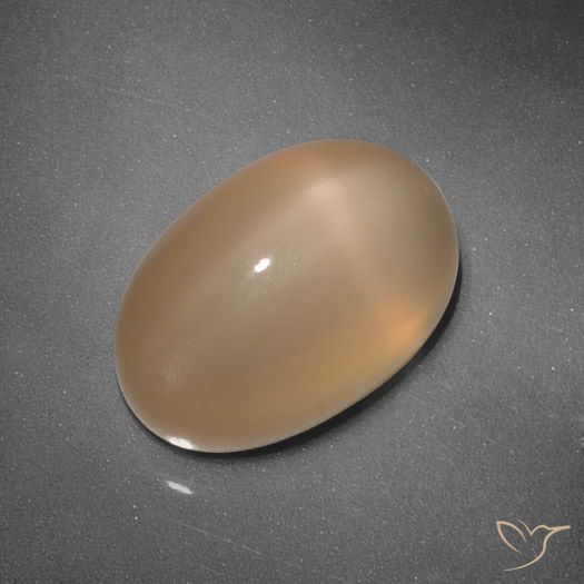 5.37ct طبيعي برتقالى متوسط ستار مونستون, بيضوي, نصف شفاف