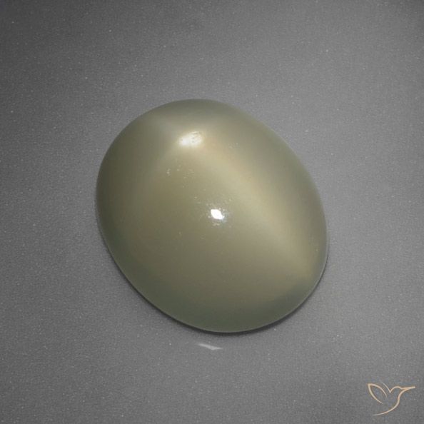 5.67ct طبيعي رمادى-أصفر متوسط ستار مونستون, بيضوي, نصف شفاف