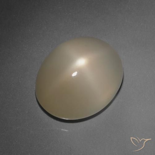 7.89ct طبيعي بنى باهت ستار مونستون, بيضوي, نصف شفاف