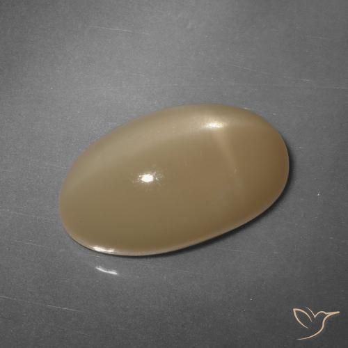 11.04ct طبيعي برتقالى كنتالوبى ستار مونستون, بيضوي, نصف شفاف, Photo A