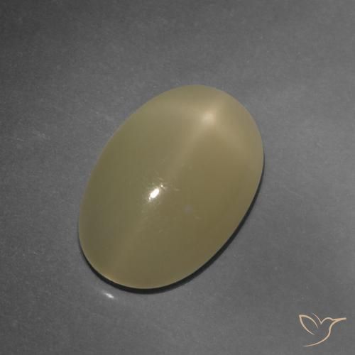 4.86ct طبيعي بنى التورتيا فاتح ستار مونستون, بيضوي, نصف شفاف, Photo A