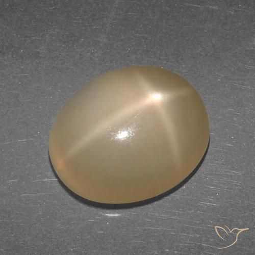 5.27ct طبيعي برتقالى داكن-متوسط ستار مونستون, بيضوي, نصف شفاف, Photo A
