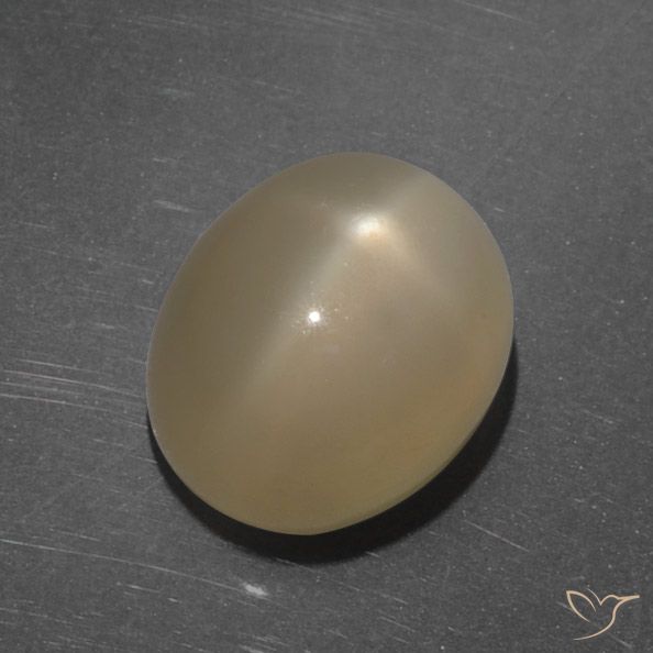 7.35ct طبيعي برتقالى داكن-متوسط ستار مونستون, بيضوي, نصف شفاف