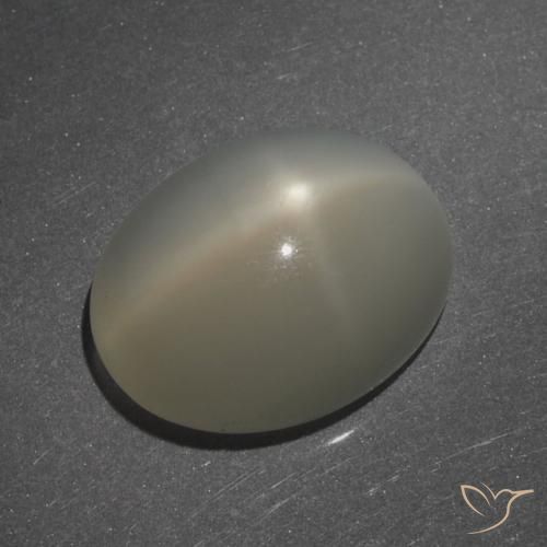 7.62ct طبيعي بنى الفهوة فاتح ستار مونستون, بيضوي, نصف شفاف