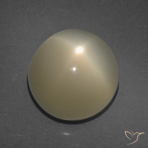 11.34ct طبيعي بنى الفهوة فاتح ستار مونستون, دائري, نصف شفاف