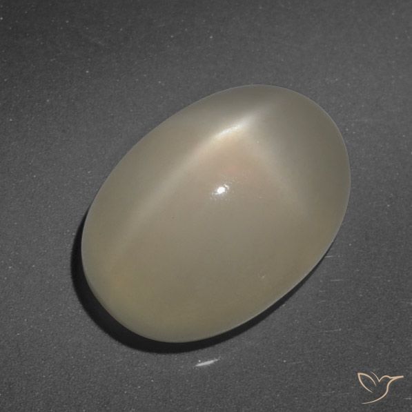 7.90ct طبيعي بنى الفهوة فاتح ستار مونستون, بيضوي, نصف شفاف, Photo A