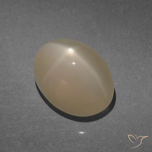 8.47ct طبيعي بنى فاتح دافئ ستار مونستون, بيضوي, نصف شفاف