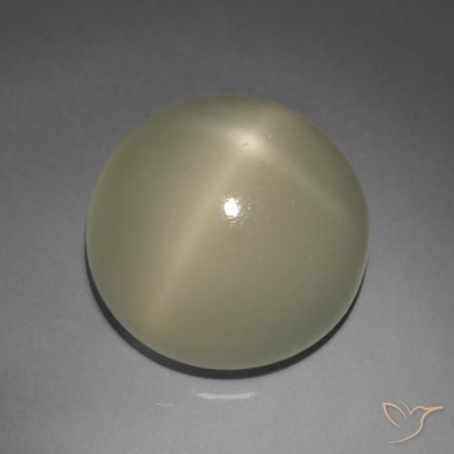 9.02ct طبيعي بنى ترابى ستار مونستون, دائري, نصف شفاف, Photo A