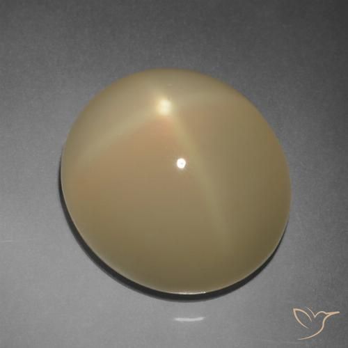 11.20ct طبيعي بنى التورتيا فاتح ستار مونستون, بيضوي, نصف شفاف