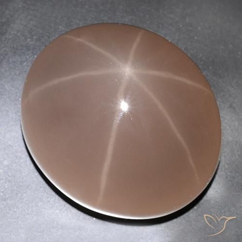 529.63ct طبيعي أحمر الدعسوقة نجمة روز كوارتز, بيضوي, نصف شفاف