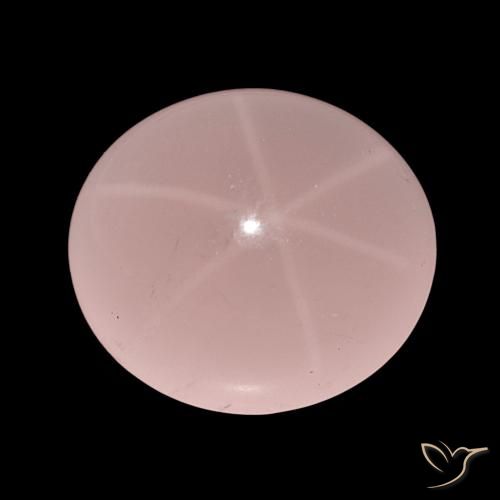 62.47ct درجة اللون الوردى نجمة روز كوارتز, بيضوي, نصف شفاف