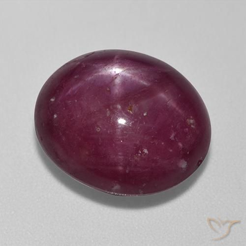 13.67ct طبيعي احمر غامق ياقوت نجمة, بيضوي, غير شفاف