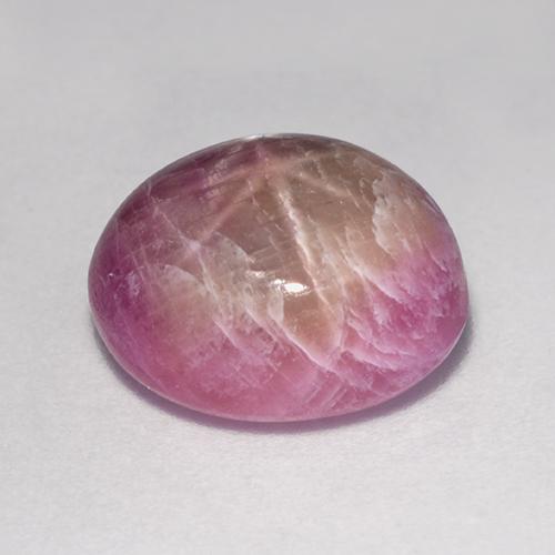 ياقوت نجمة سانجريا طبيعي، قصة بيضاوى، 8.91 قيراط، غير شفاف