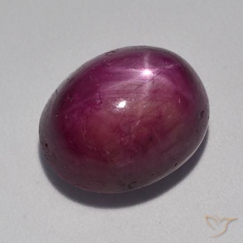 12.53ct طبيعي أرجوانى داكن-متوسط ياقوت نجمة, بيضوي, غير شفاف