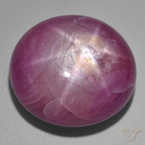 53.60ct طبيعي أرجوانى داكن-متوسط ياقوت نجمة, بيضوي, غير شفاف