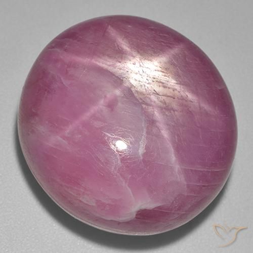 56.00ct طبيعي Medium Dark-Purple ياقوت نجمة, بيضوي, غير شفاف