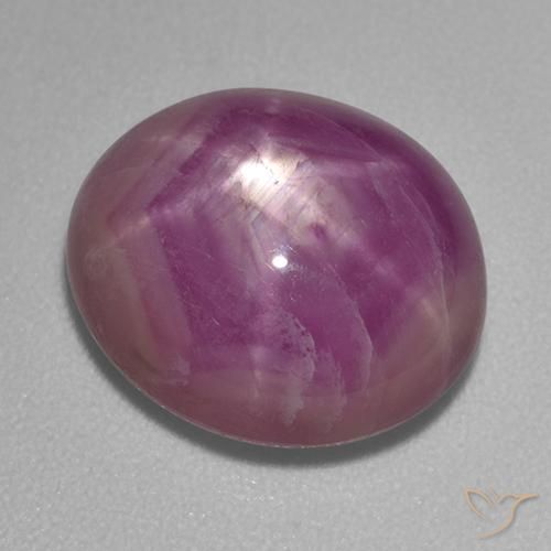 8.07ct طبيعي سانجريا غامق ياقوت نجمة, بيضوي, غير شفاف