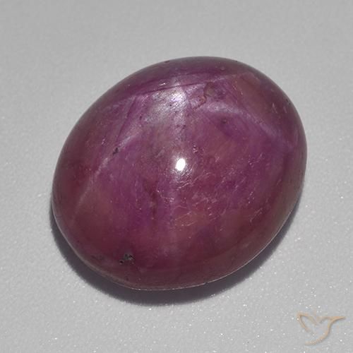 15.55ct طبيعي أرجوانى داكن-متوسط ياقوت نجمة, بيضوي, غير شفاف
