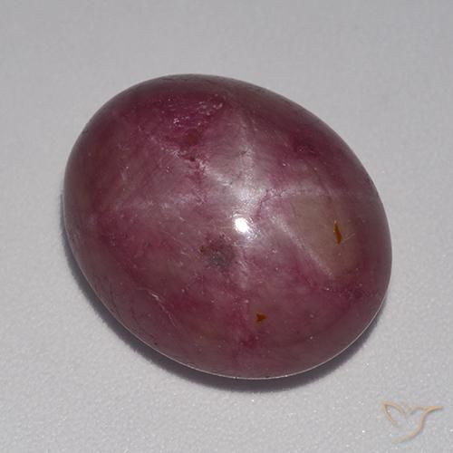 14.78ct طبيعي أرجوانى داكن-متوسط ياقوت نجمة, بيضوي, غير شفاف