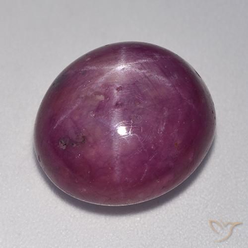 14.20ct طبيعي أرجواني محمر ياقوت نجمة, بيضوي, غير شفاف