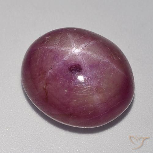 15.67ct طبيعي أرجواني محمر ياقوت نجمة, بيضوي, غير شفاف