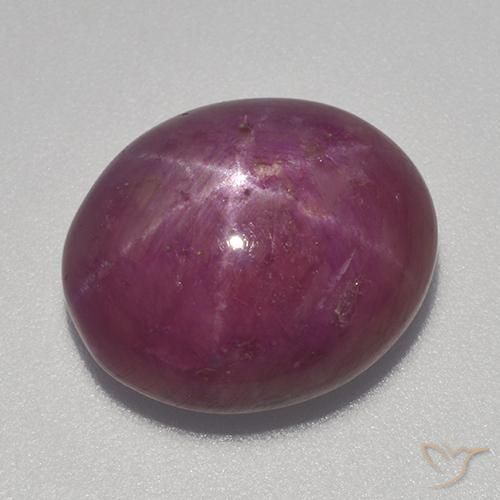 13.70ct طبيعي أرجوانى داكن-متوسط ياقوت نجمة, بيضوي, غير شفاف