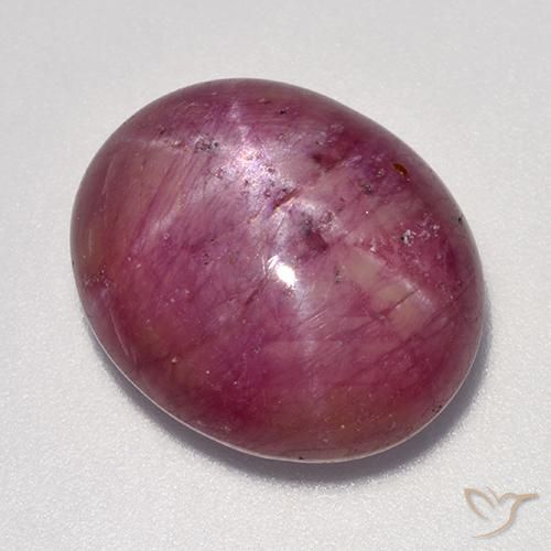 16.94ct طبيعي أرجوانى فاتح-متوسط ياقوت نجمة, بيضوي, غير شفاف