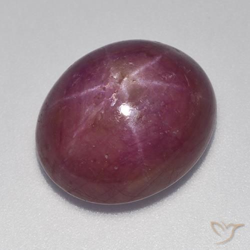 17.70ct طبيعي أرجوانى داكن-متوسط ياقوت نجمة, بيضوي, غير شفاف