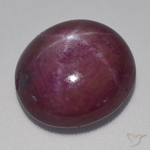 14.94ct طبيعي أرجوانى داكن-متوسط ياقوت نجمة, بيضوي, غير شفاف