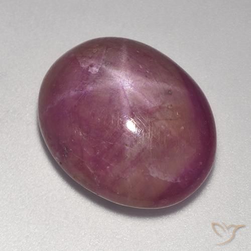 15.00ct طبيعي أرجوانى داكن-متوسط ياقوت نجمة, بيضوي, غير شفاف
