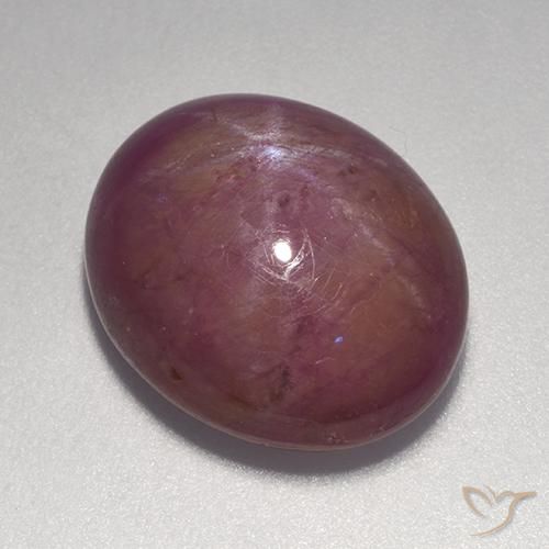 14.20ct طبيعي ماجنتى رمادى ياقوت نجمة, بيضوي, غير شفاف