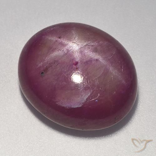 20.08ct طبيعي أرجوانى برقوقى ياقوت نجمة, بيضوي, غير شفاف