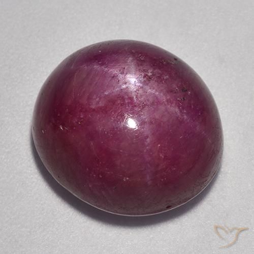 16.58ct طبيعي التوت عليق أحمر ياقوت نجمة, بيضوي, غير شفاف