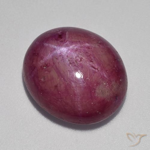 12.64ct طبيعي أرجوانى برقوقى ياقوت نجمة, بيضوي, غير شفاف