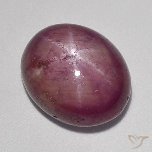 13.63ct طبيعي أرجوانى متوسط ياقوت نجمة, بيضوي, غير شفاف