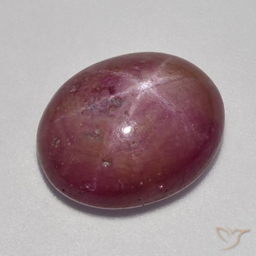 9.53ct طبيعي أرجوانى برقوقى ياقوت نجمة, بيضوي, غير شفاف