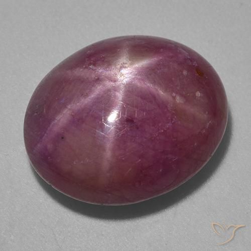 13.87ct طبيعي أرجوانى داكن-متوسط ياقوت نجمة, بيضوي, غير شفاف