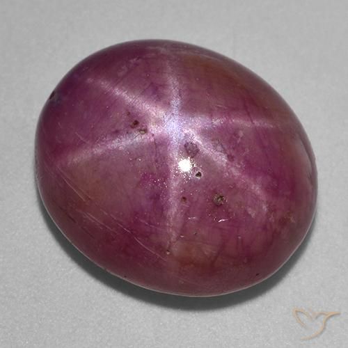 17.99ct طبيعي أرجوانى داكن-متوسط ياقوت نجمة, بيضوي, غير شفاف
