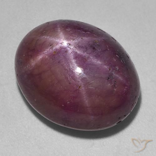 18.38ct طبيعي أرجوانى داكن-متوسط ياقوت نجمة, بيضوي, غير شفاف