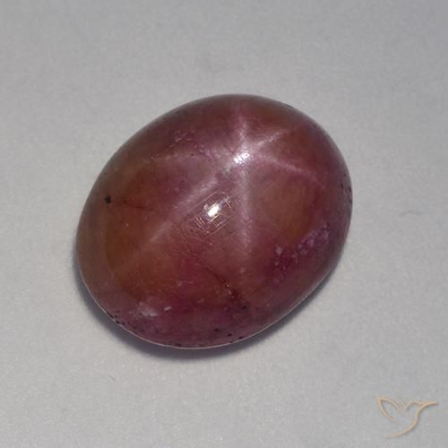 11.48ct طبيعي أرجواني محمر ياقوت نجمة, بيضوي, غير شفاف