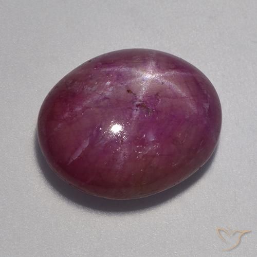 12.90ct طبيعي أرجوانى داكن-متوسط ياقوت نجمة, بيضوي, غير شفاف
