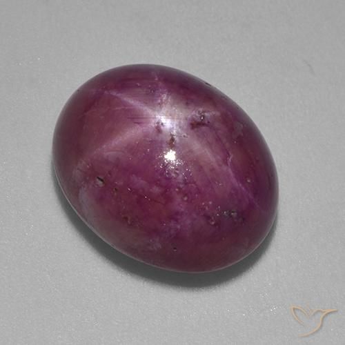 13.24ct طبيعي أرجواني محمر ياقوت نجمة, بيضوي, غير شفاف