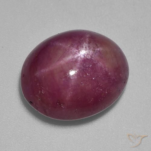 12.45ct طبيعي أرجوانى برقوقى ياقوت نجمة, بيضوي, غير شفاف