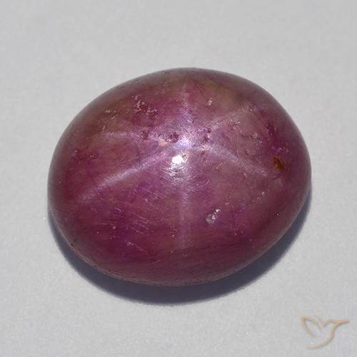 12.55ct طبيعي أرجوانى متوسط ياقوت نجمة, بيضوي, غير شفاف