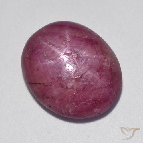 11.80ct طبيعي وردى-ماجنتى ياقوت نجمة, بيضوي, غير شفاف