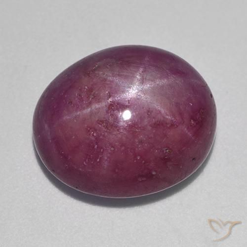 12.54ct طبيعي أرجوانى برقوقى ياقوت نجمة, بيضوي, غير شفاف
